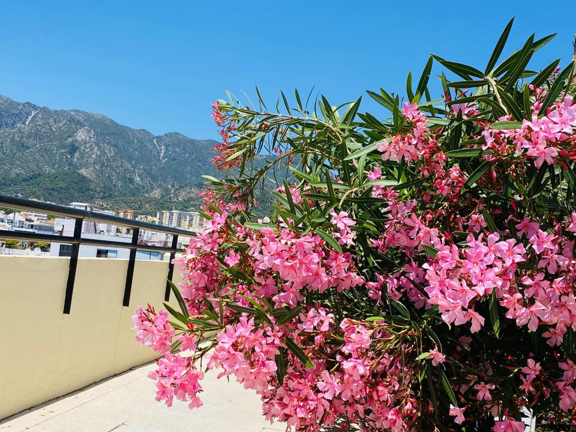Apartment On The First Line Of The Sea With A View And Free Parking Марбеля Екстериор снимка